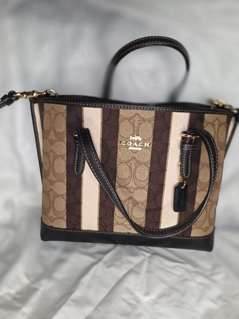 Coach Mollie Purse